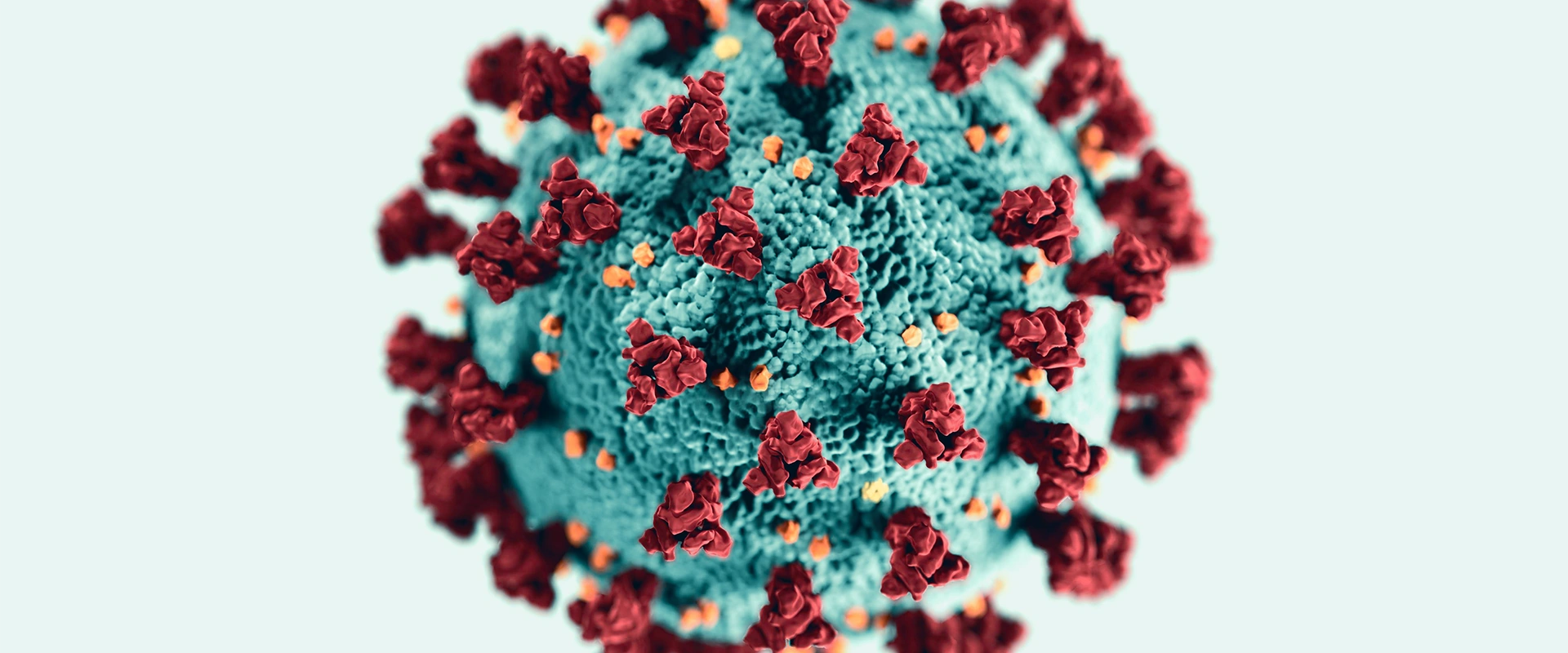 Modell eines Virus